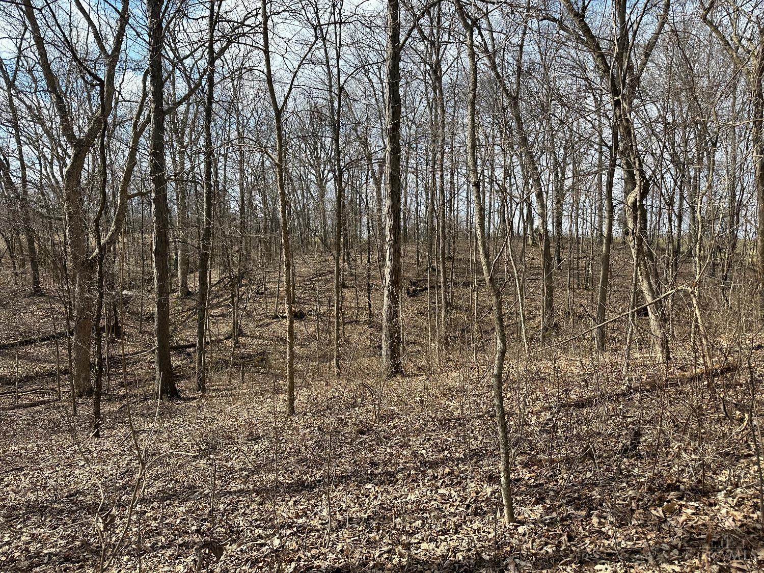0 Wilson Road Winchester, OH 45697 - Photo 68 of 69