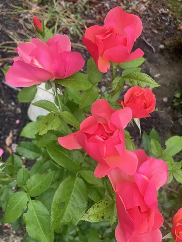 $470,000 | 41 Rowe Brook Road, Dedham, ME 04429