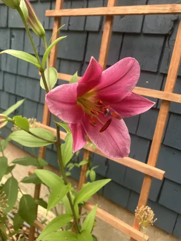 $470,000 | 41 Rowe Brook Road, Dedham, ME 04429