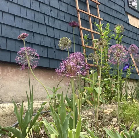 $470,000 | 41 Rowe Brook Road, Dedham, ME 04429