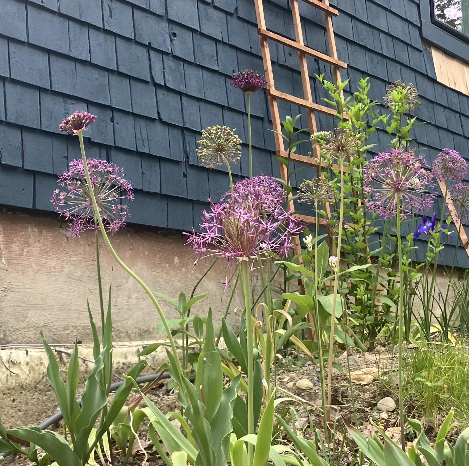 41 Rowe Brook Road Dedham, ME 04429 - Photo 51 of 52 41 Rowe Brooke photo 1