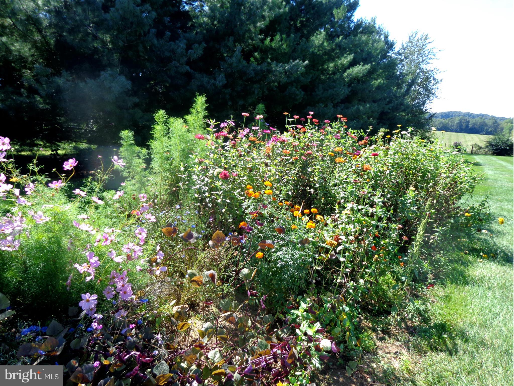 2396 Cross Section Road Westminster, MD 21158 - Photo 28 of 30 Wild Flower Garden