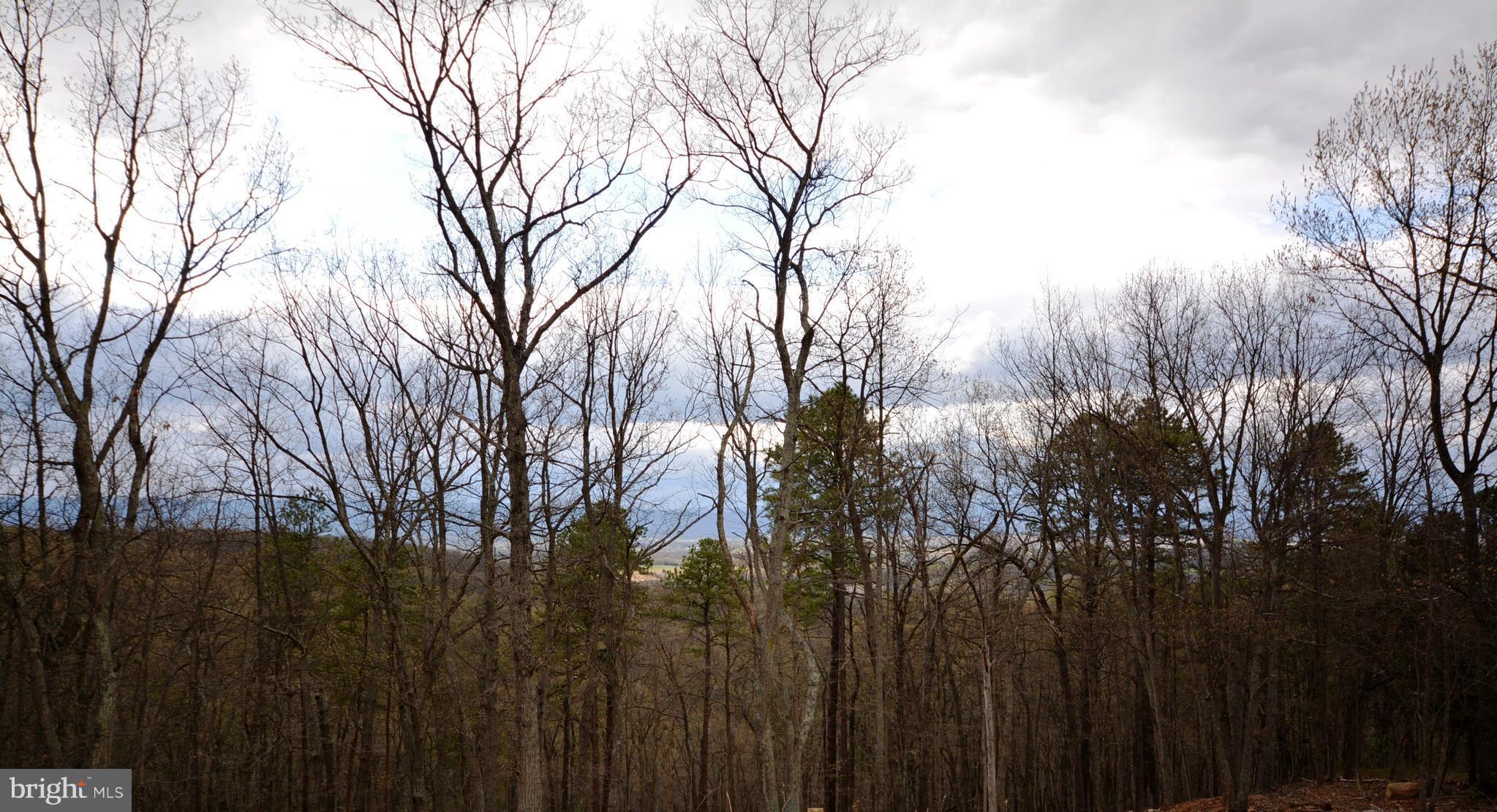 155 Lower View Road Strasburg, VA 22657 - Photo 30 of 30 a view of forest