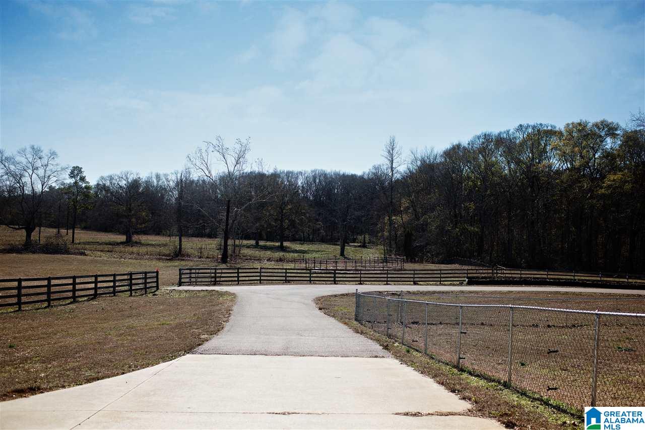 665 Scurlock Ranch Road Vincent, AL 35178 - Photo 37 of 41