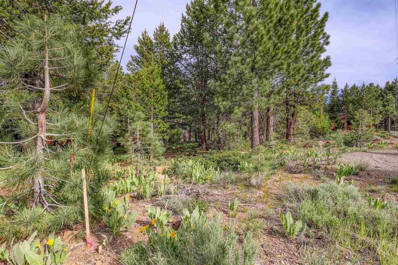 12349 Springbrook Place Truckee, CA 96161 - Photo 12 of 18 Gallery Image 12