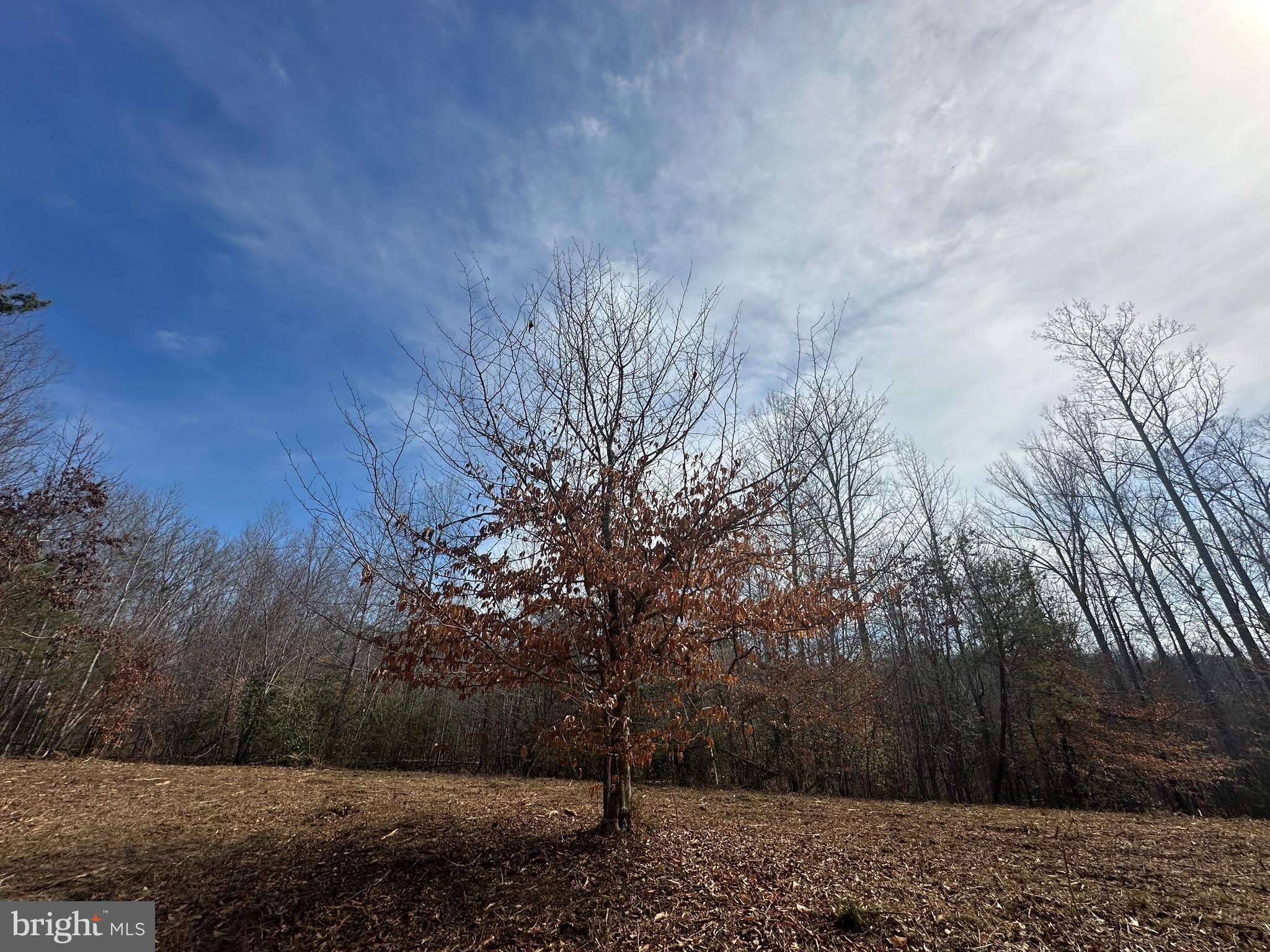 14928 Dovey Road Spotsylvania, VA 22551 - Photo 12 of 17 a view of a yard