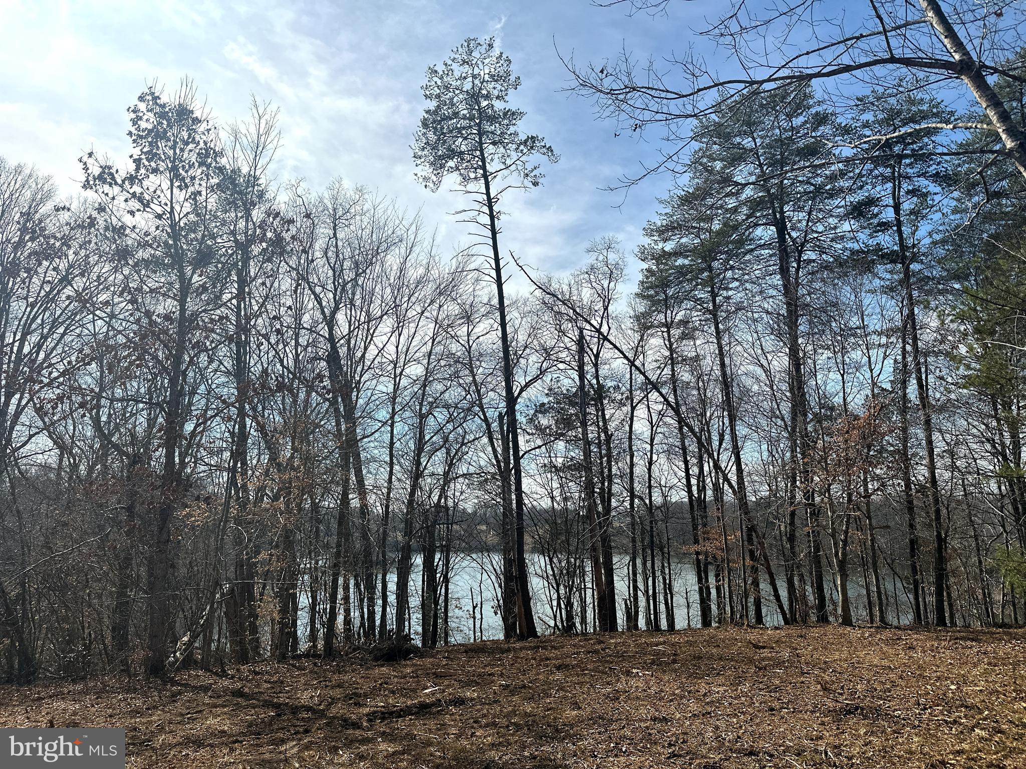 14928 Dovey Road Spotsylvania, VA 22551 - Photo 15 of 17 a view of a backyard of the house