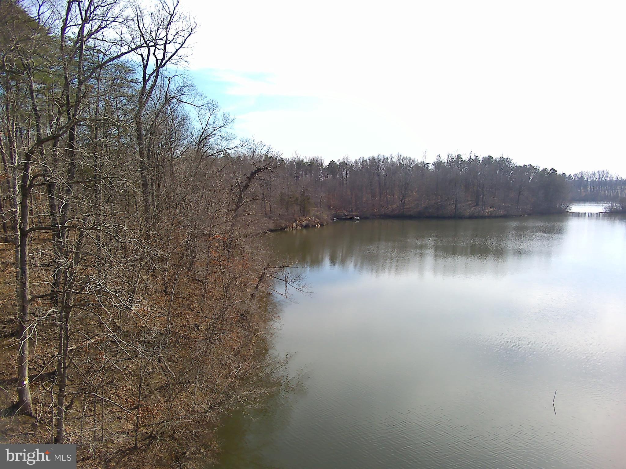 14928 Dovey Road Spotsylvania, VA 22551 - Photo 4 of 17 a view of a lake with a tree in the background