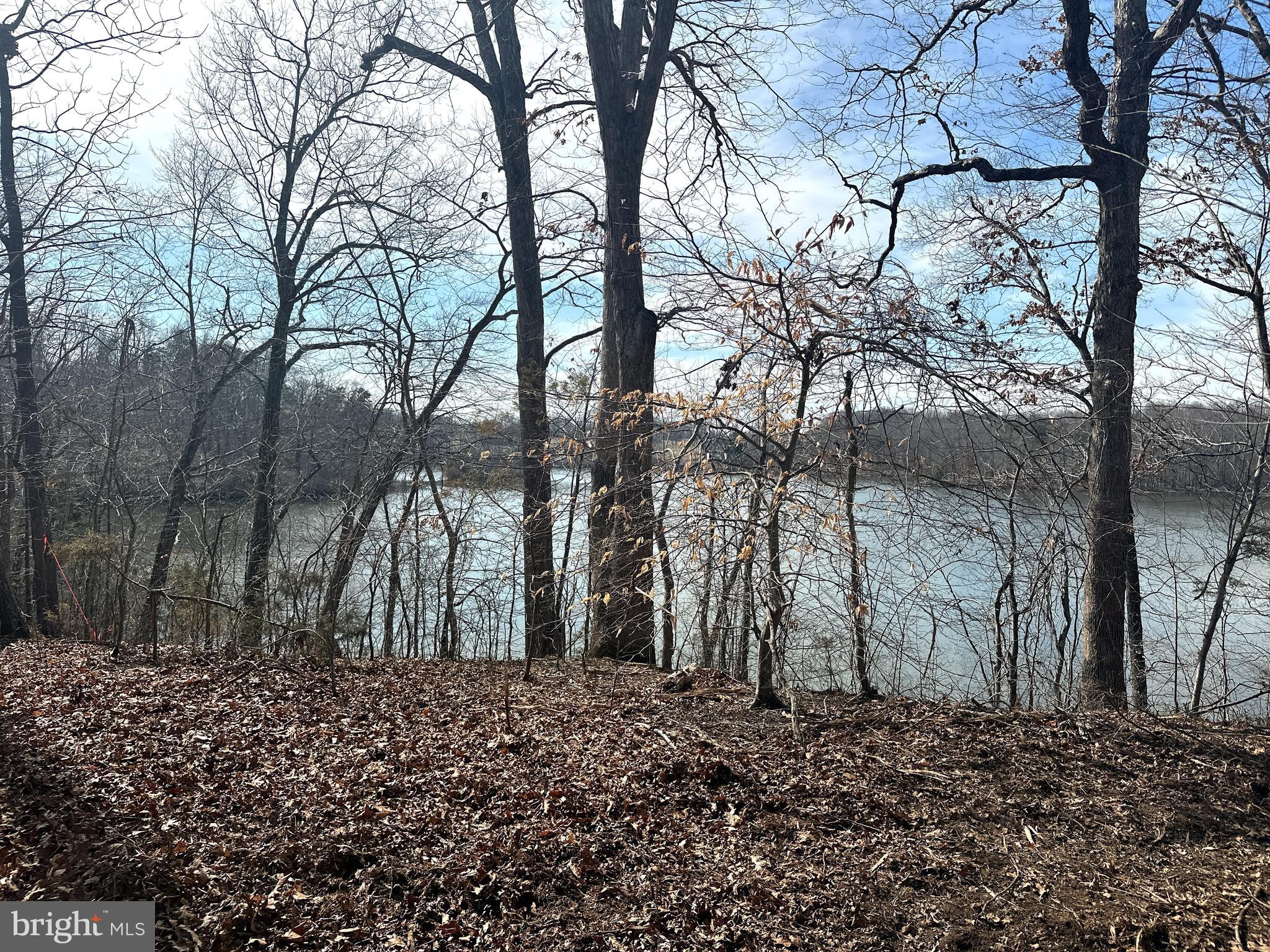 14928 Dovey Road Spotsylvania, VA 22551 - Photo 8 of 17 a backyard of a house with lots of green space