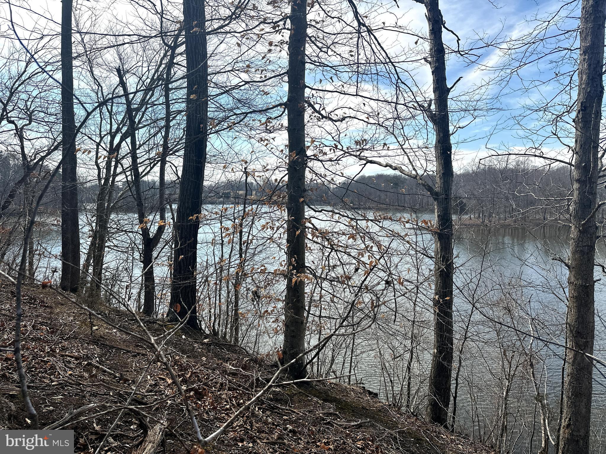 14928 Dovey Road Spotsylvania, VA 22551 - Photo 9 of 17 a view of a forest filled with trees