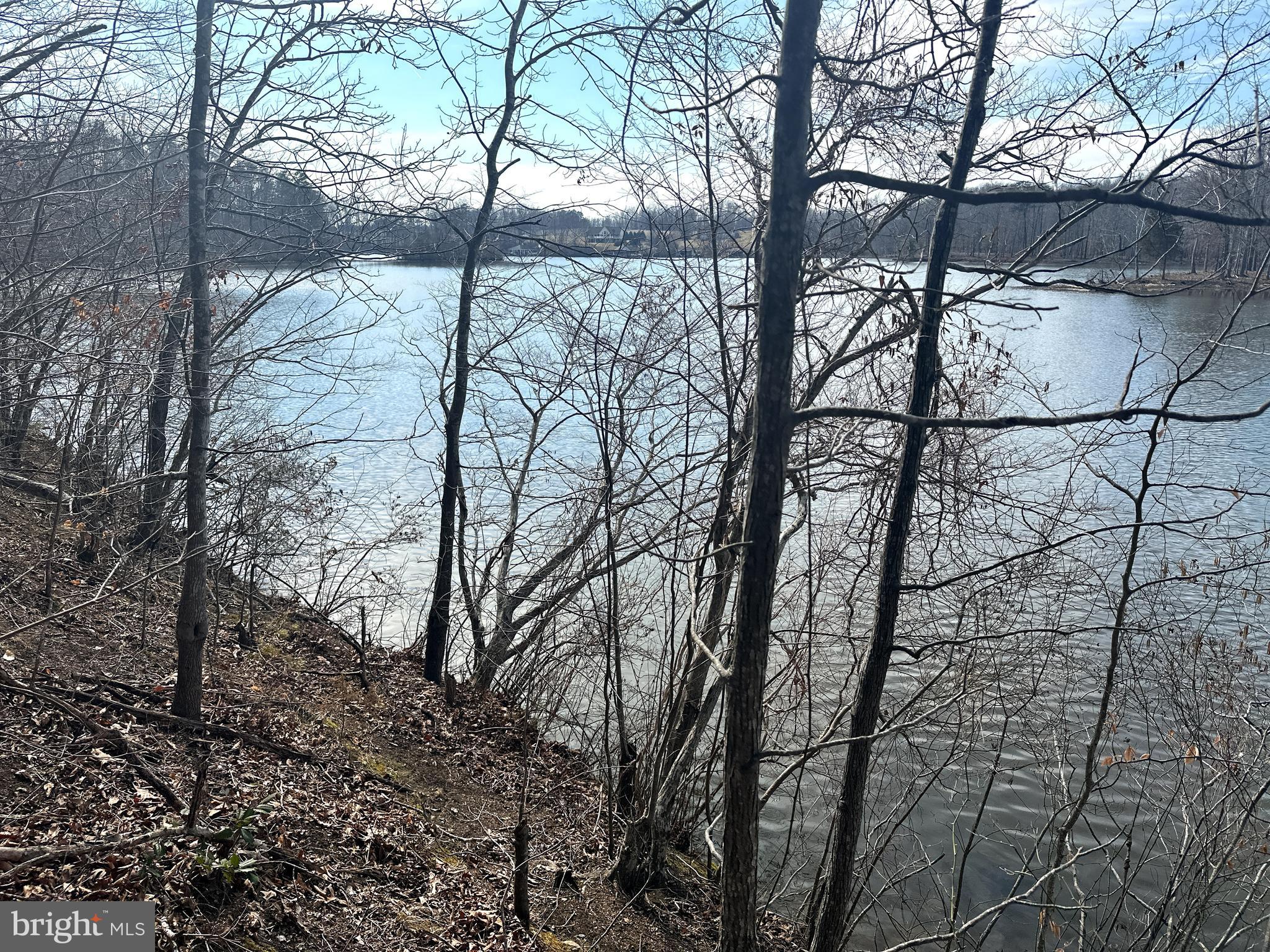 14928 Dovey Road Spotsylvania, VA 22551 - Photo 10 of 17 a backyard of a house with lots of green space