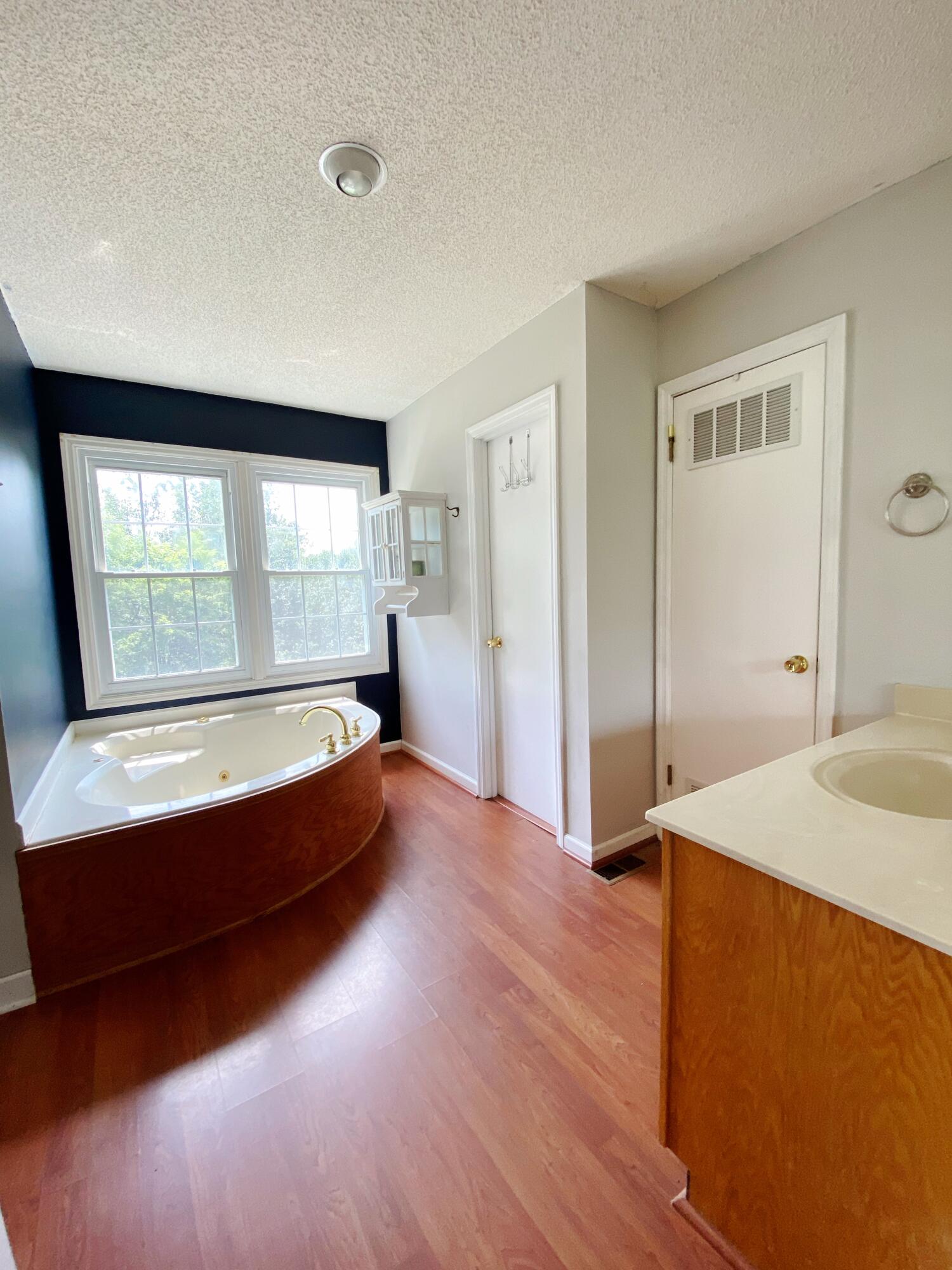 3621 Prospect Church Road Apison, TN 37302 - Photo 18 of 34 master bath on main level