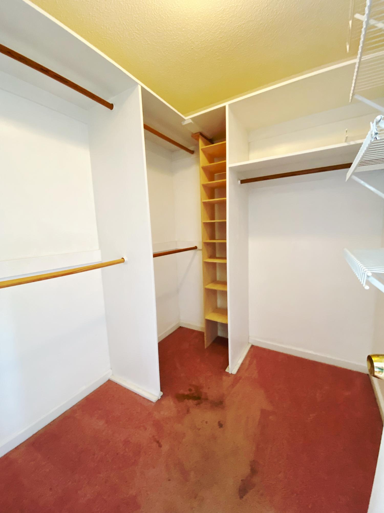 3621 Prospect Church Road Apison, TN 37302 - Photo 19 of 34 walk in closet