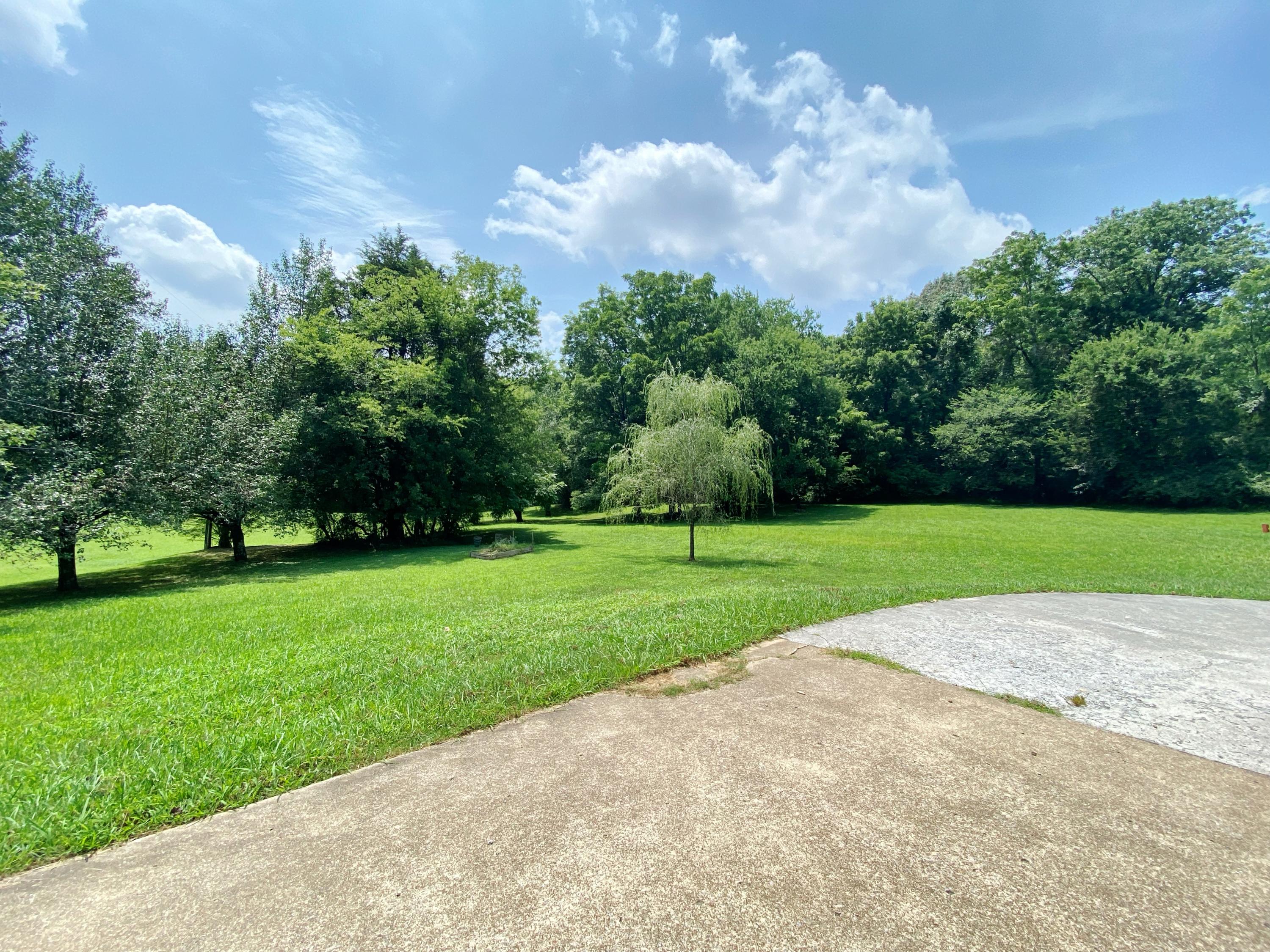 3621 Prospect Church Road Apison, TN 37302 - Photo 5 of 34 beautiful backyard