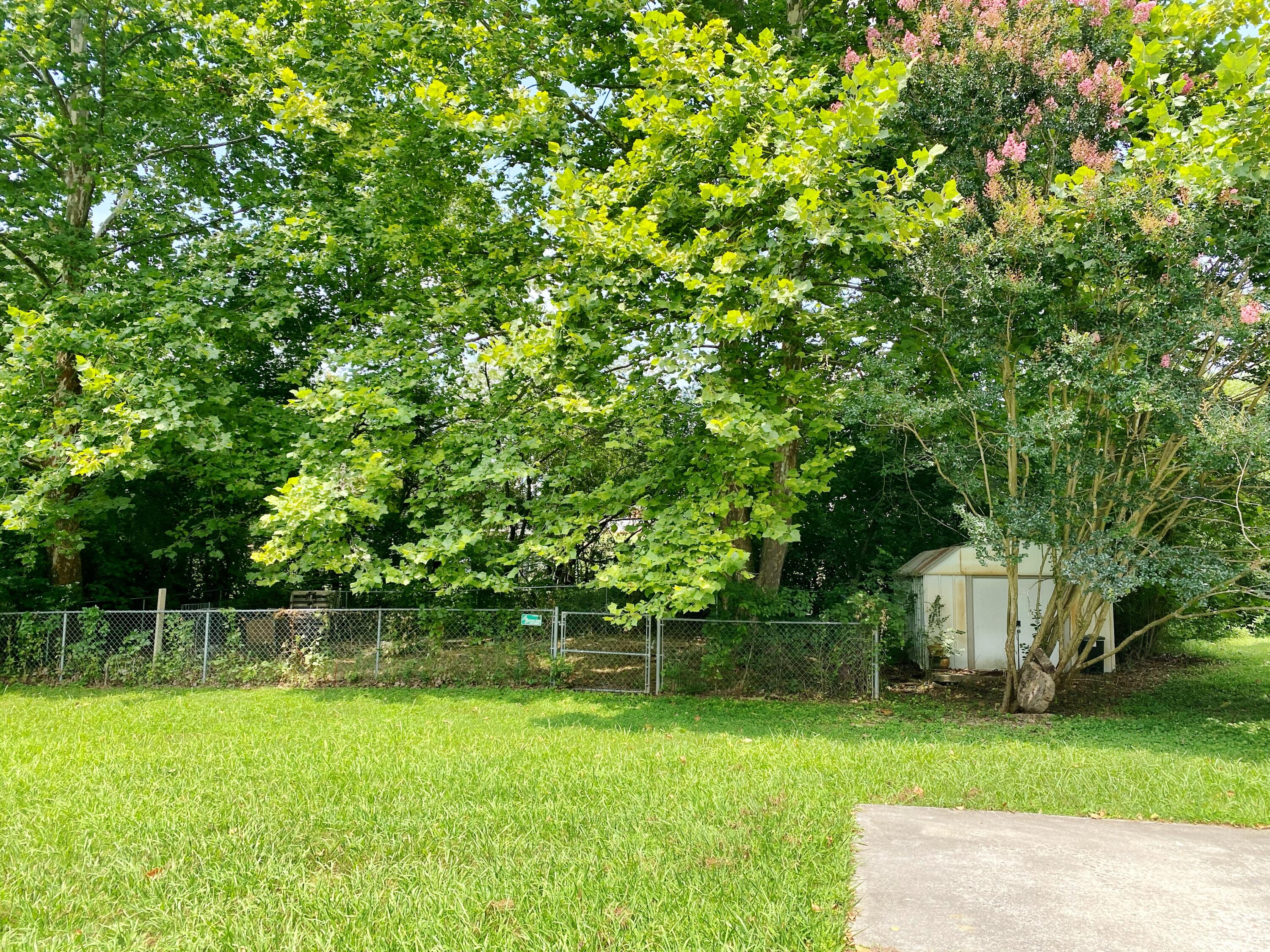 3621 Prospect Church Road Apison, TN 37302 - Photo 6 of 34 fenced in dog run and storage building