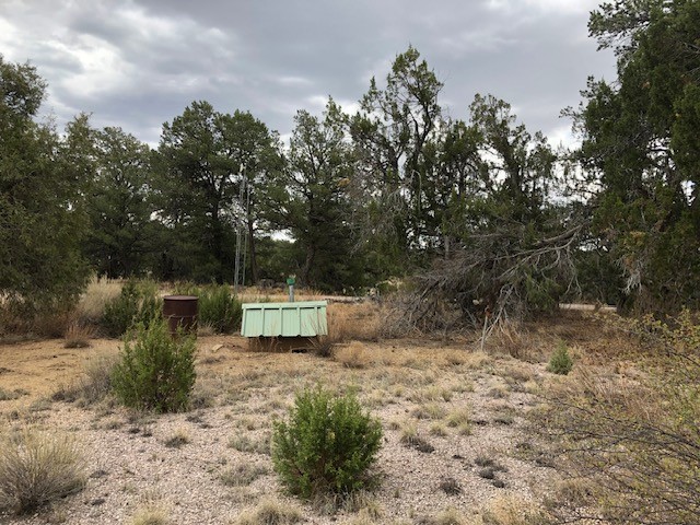 394 Candy Kitchen Road Ramah, NM 87357 - Photo 14 of 29