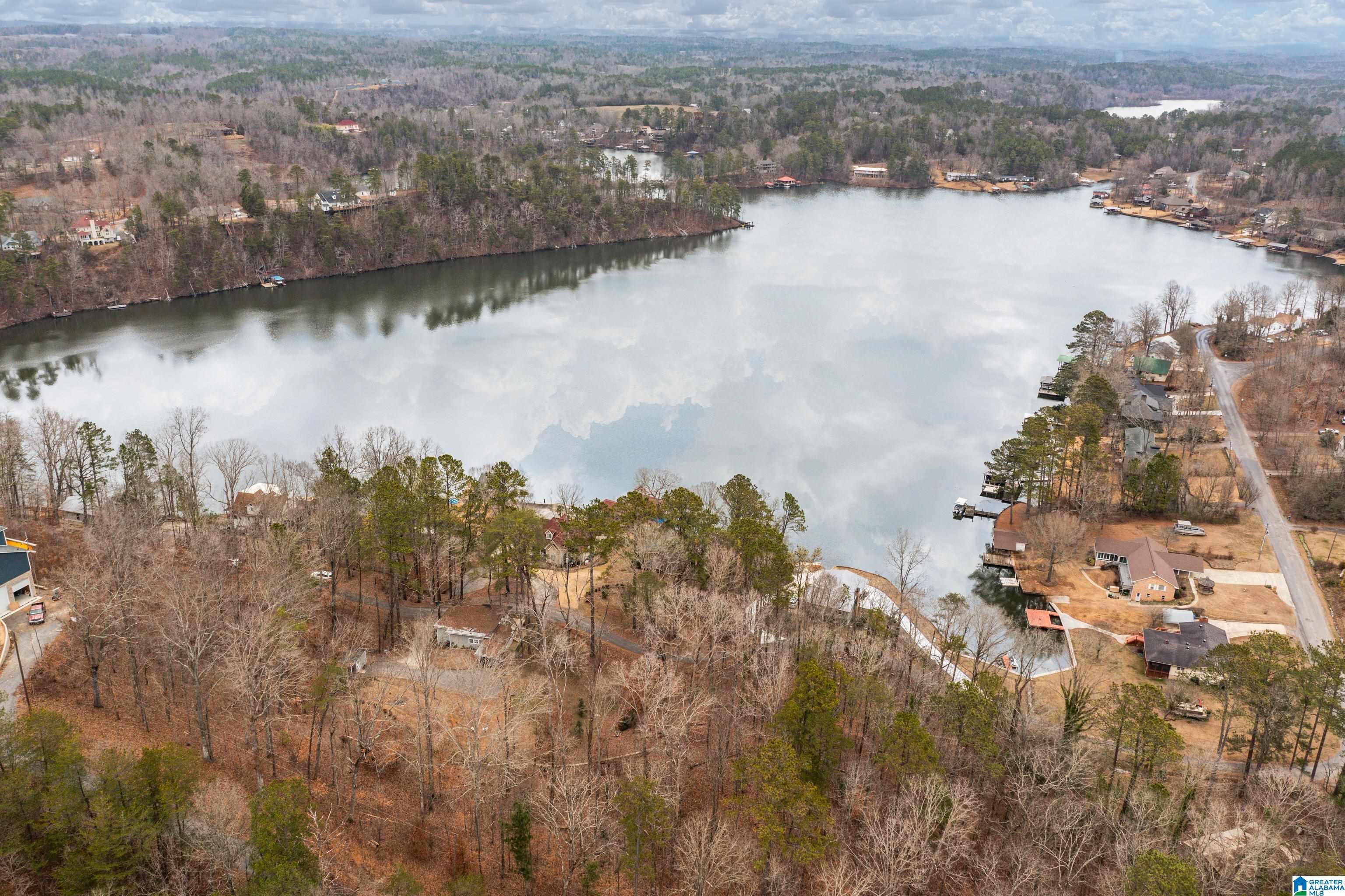 109 Sunset Strip Oneonta, AL 35121 - Photo 65 of 68