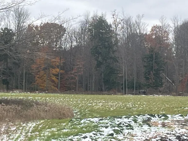 $280,000 | 11477 Johnson Road, Lakeview, MI 48850