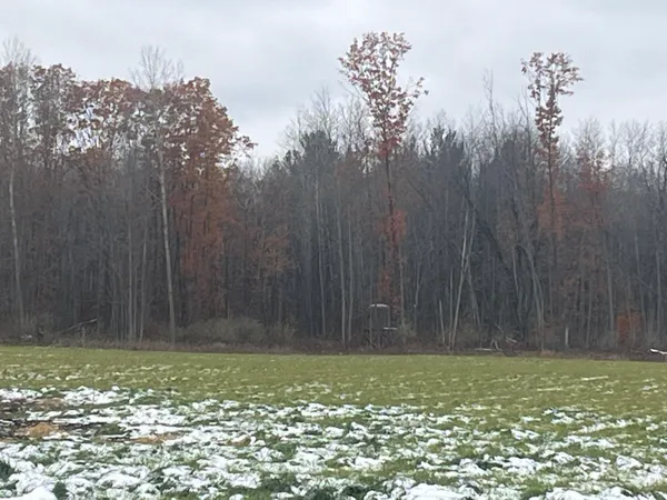 $280,000 | 11477 Johnson Road, Lakeview, MI 48850