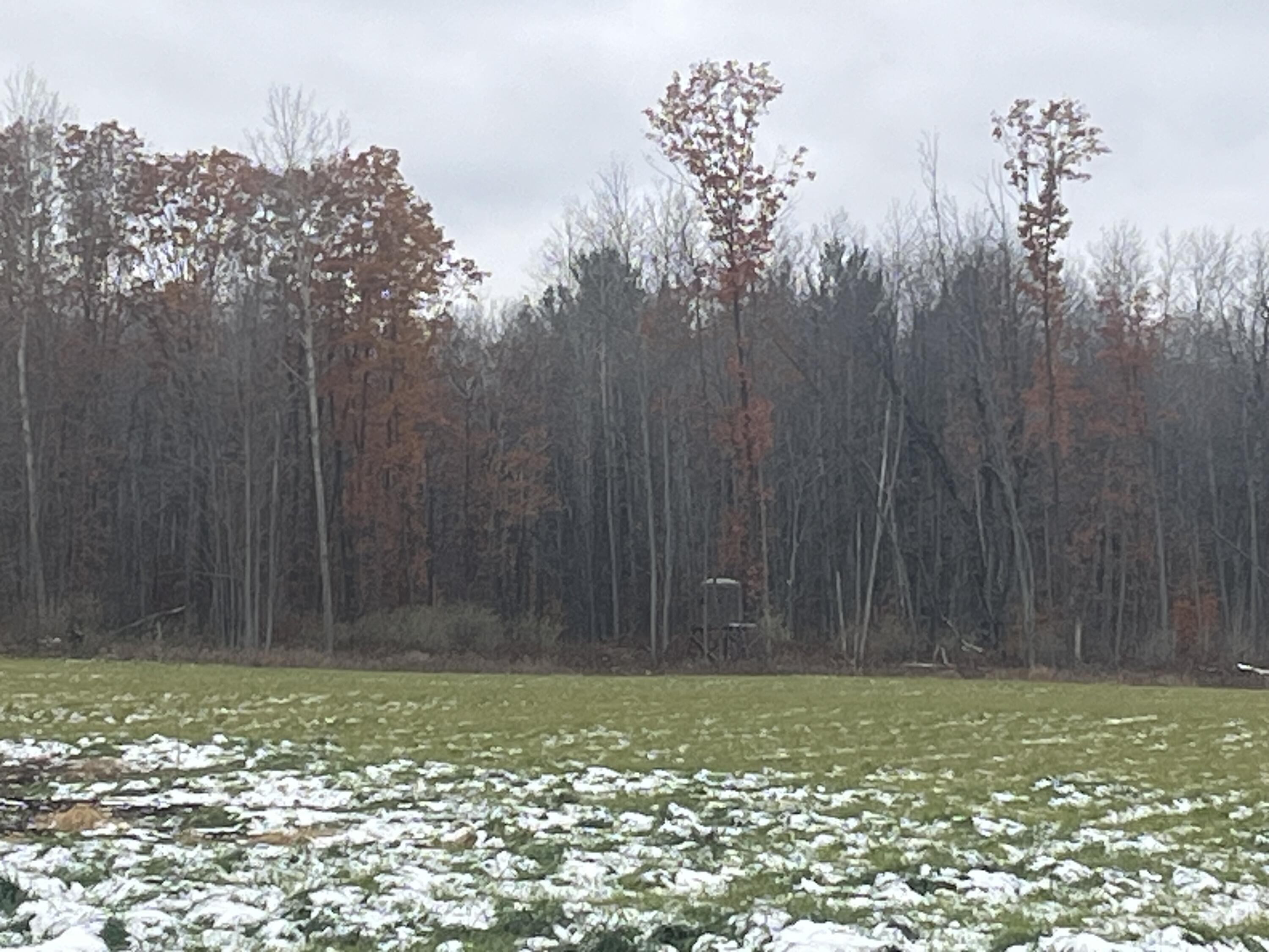 11477 Johnson Road Lakeview, MI 48850 - Photo 5 of 8 IMG_0495