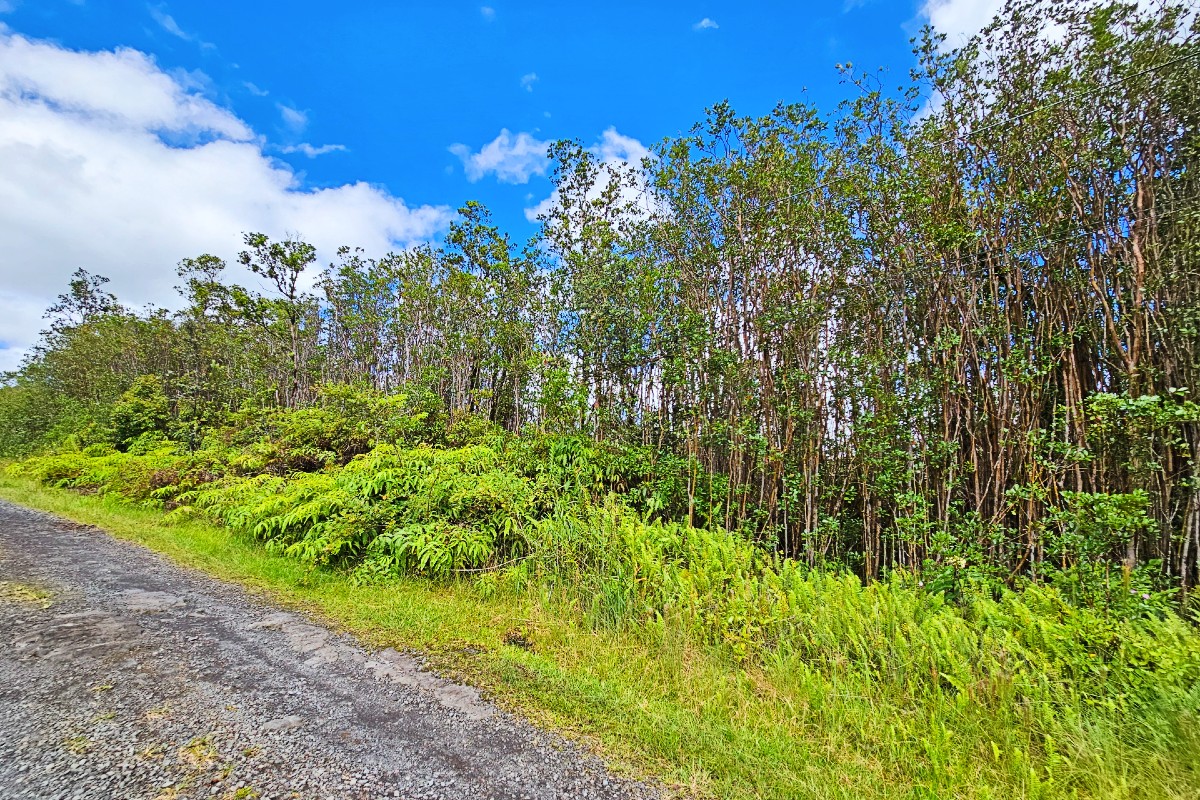 46 Ala Naulani Road Mountain View, HI 96771 - Photo 3 of 9 Gallery Image 3