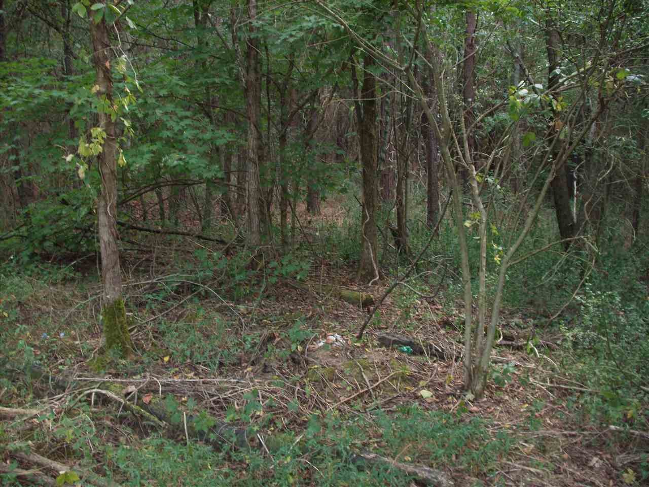 190 Co Road Decatur, TN 37322 - Photo 7 of 7