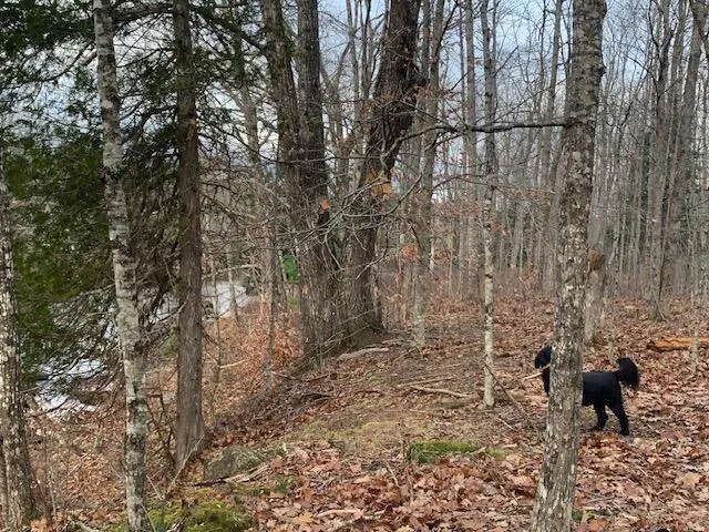 $104,911 | M6-l25 Tannery Loop, Ellsworth, ME 04605