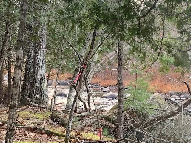 $104,911 | M6-l25 Tannery Loop, Ellsworth, ME 04605