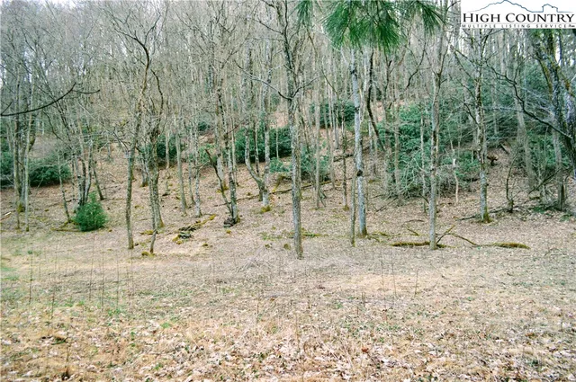 a view of outdoor space with trees