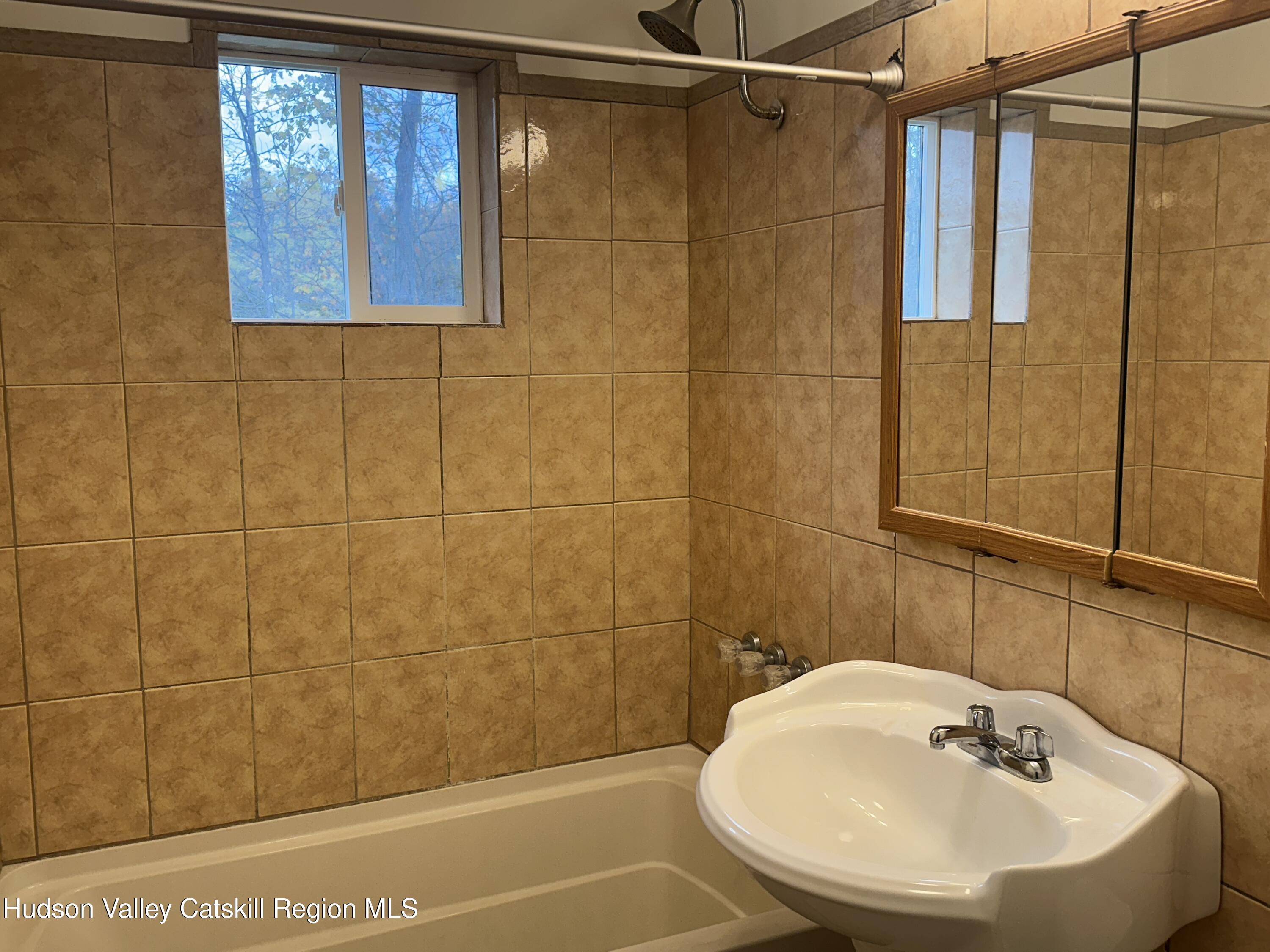 470 Edison Timmerman Road Cairo, NY 12413 - Photo 20 of 29 a bathroom with a sink a shower and a mirror