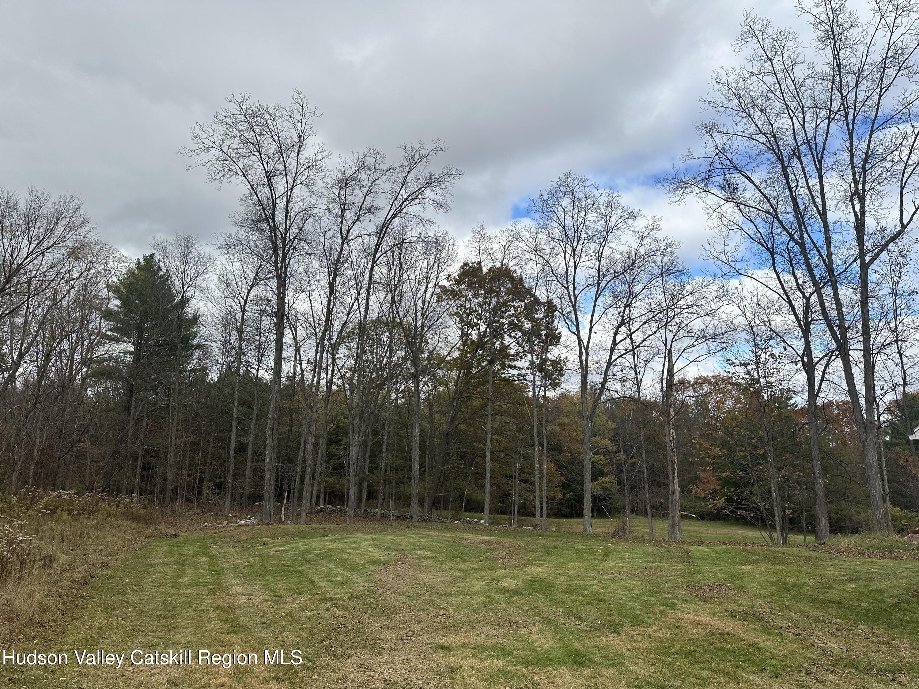 470 Edison Timmerman Road Cairo, NY 12413 - Photo 27 of 29 a view of a backyard
