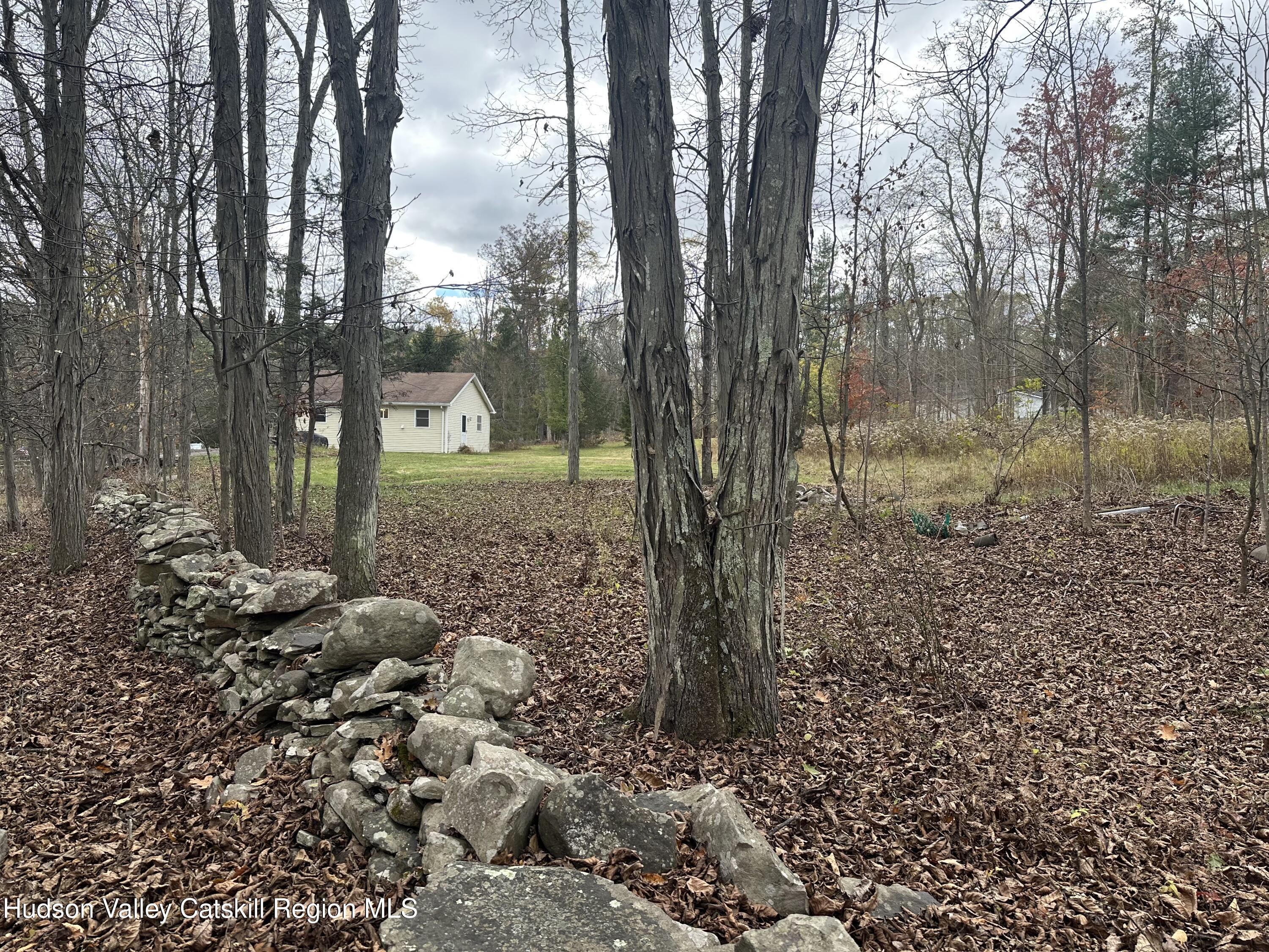 470 Edison Timmerman Road Cairo, NY 12413 - Photo 3 of 29 a view of a forest filled with trees