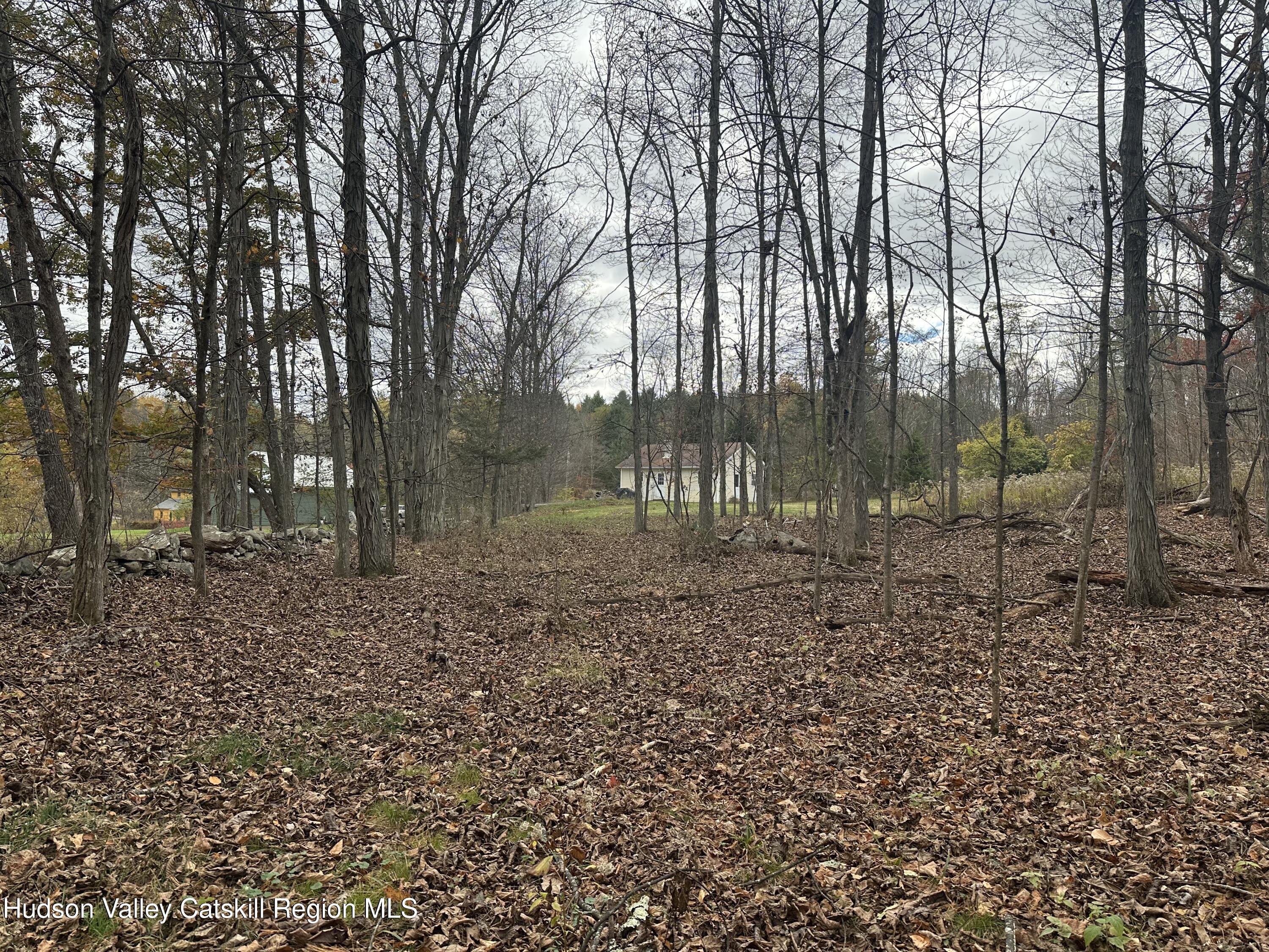 470 Edison Timmerman Road Cairo, NY 12413 - Photo 4 of 29 a view of a yard with a fountain