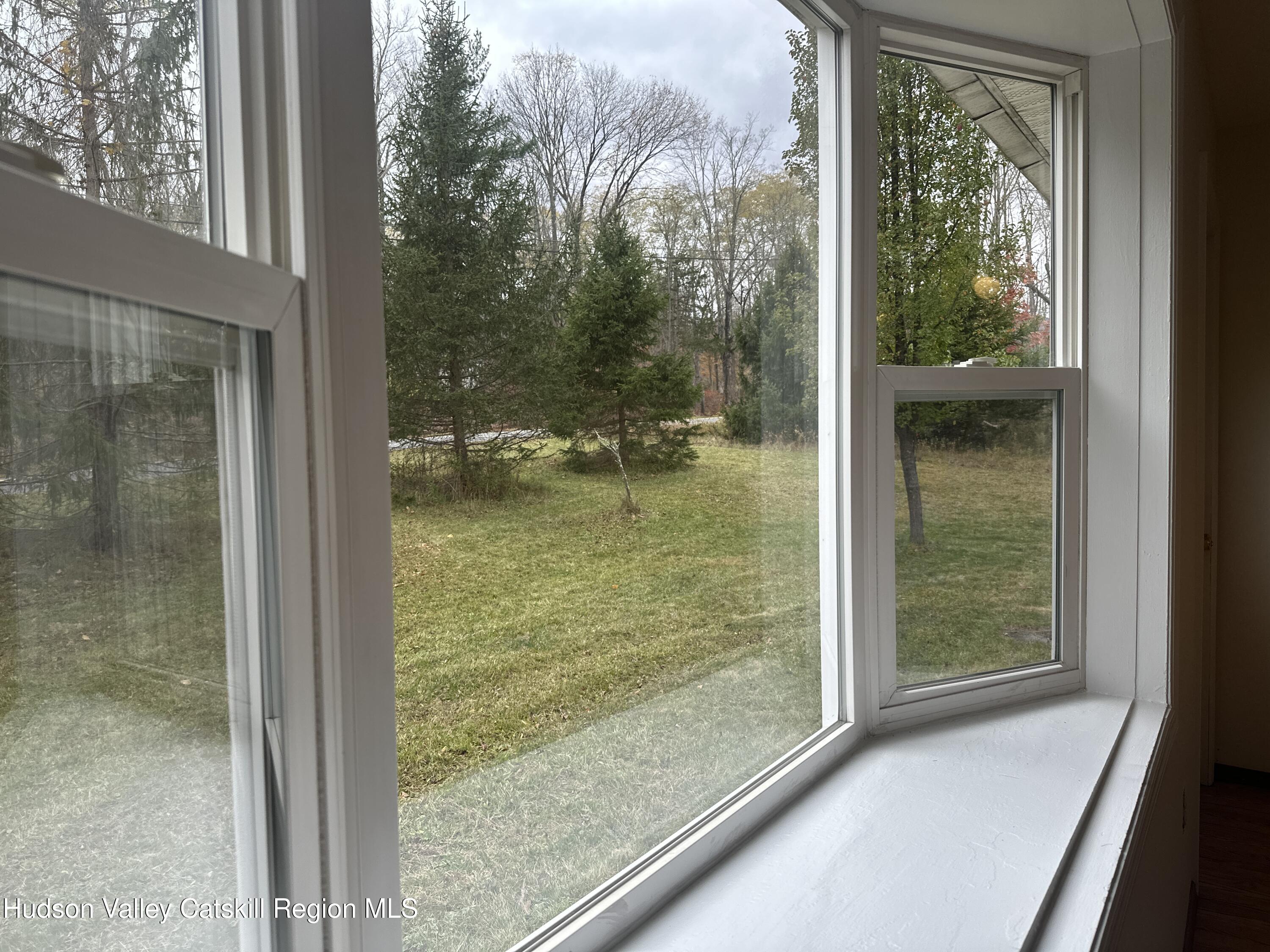 470 Edison Timmerman Road Cairo, NY 12413 - Photo 9 of 29 a view of swimming pool from a window