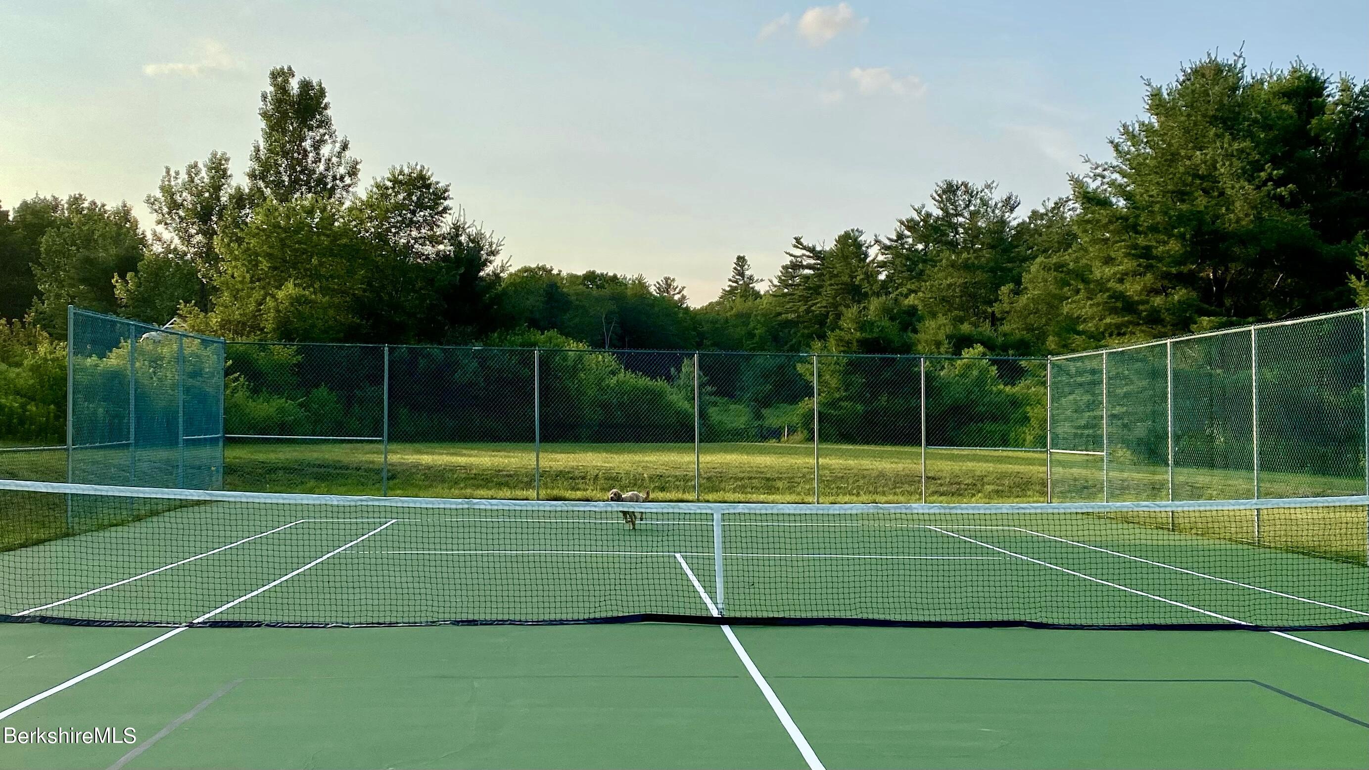176 Beech Tree Lane Becket, MA 01223 - Photo 36 of 44 a view of a tennis court