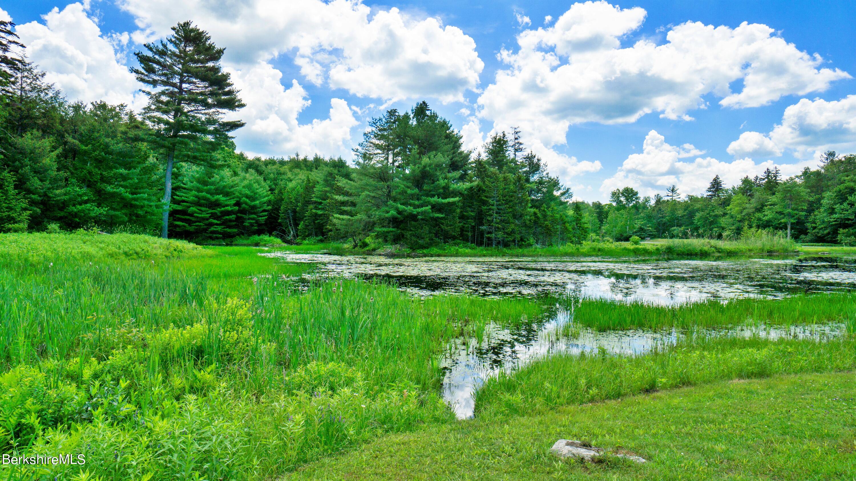 176 Beech Tree Lane Becket, MA 01223 - Photo 39 of 44 a view of a lake with a big yard