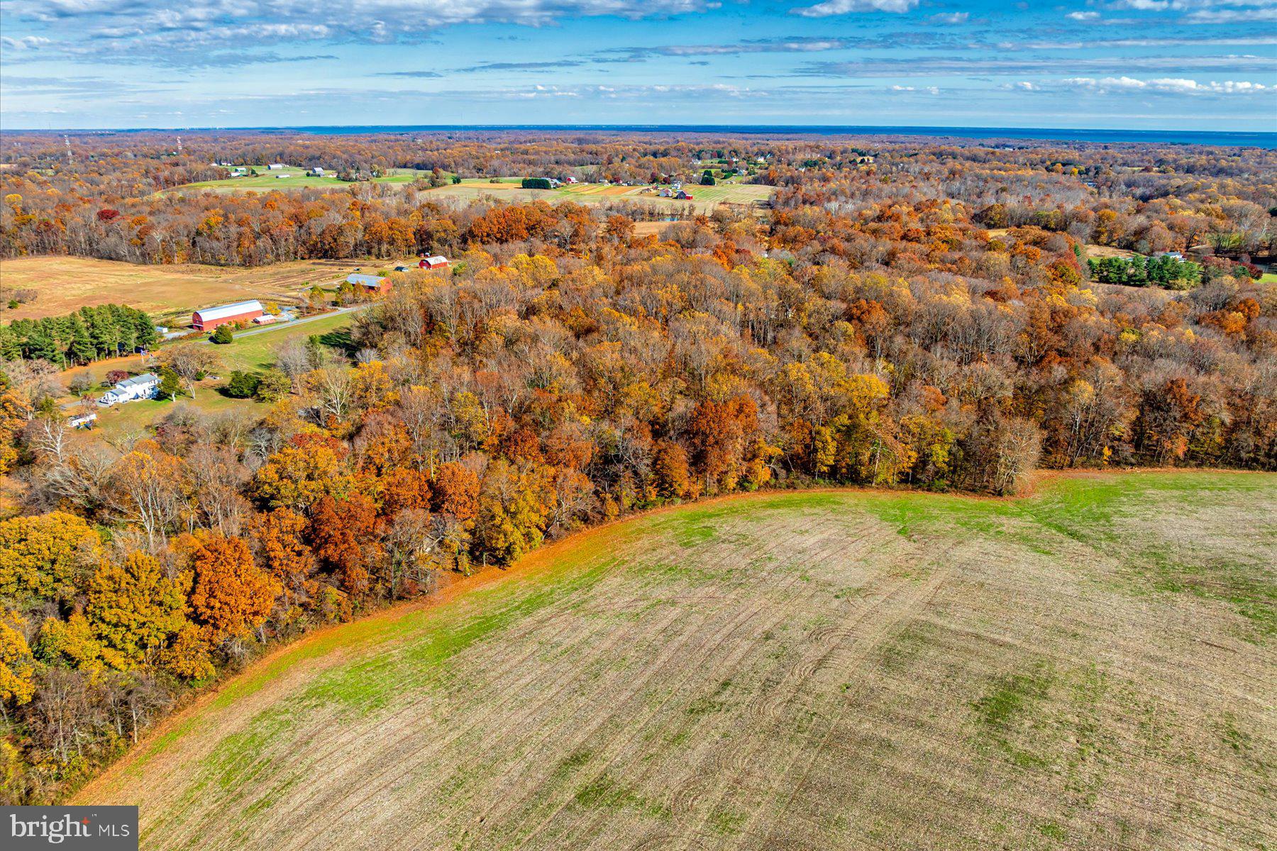 5742 Brooks Woods Road Lothian, MD 20711 - Photo 30 of 31