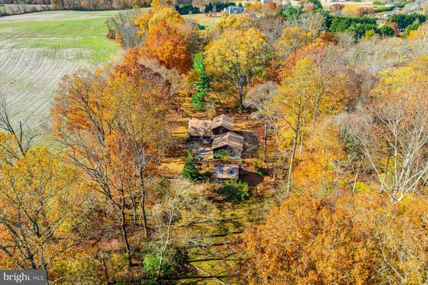 a view of yard with large trees