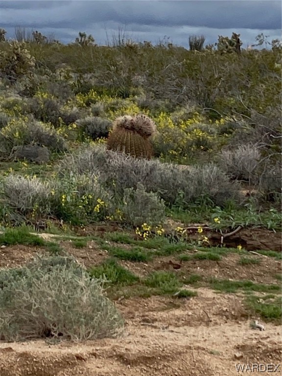 3495 South Lone Ranger Road Yucca, AZ 86438 - Photo 5 of 21 Gallery Image 5