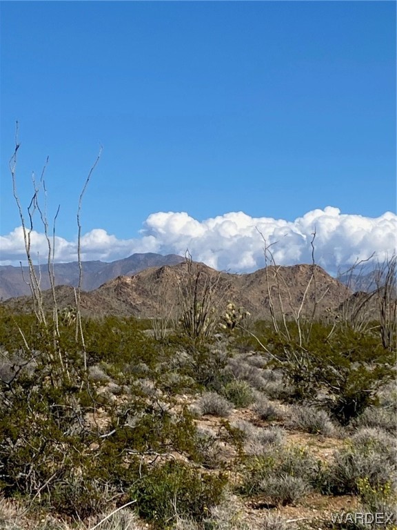 3495 South Lone Ranger Road Yucca, AZ 86438 - Photo 8 of 21 Gallery Image 8