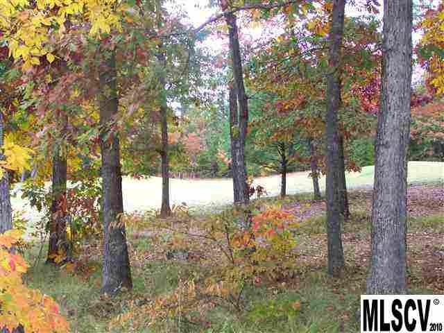 Lot 10 Players Ridge Road, Unit LOT10 PHASE 8A Hickory, NC 28601 - Photo 3 of 12 Gallery Image 3