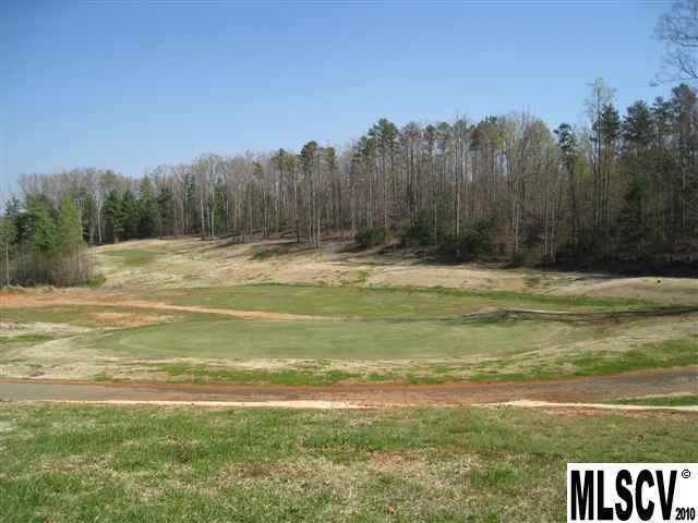 Lot 10 Players Ridge Road, Unit LOT10 PHASE 8A Hickory, NC 28601 - Photo 4 of 12 Gallery Image 4