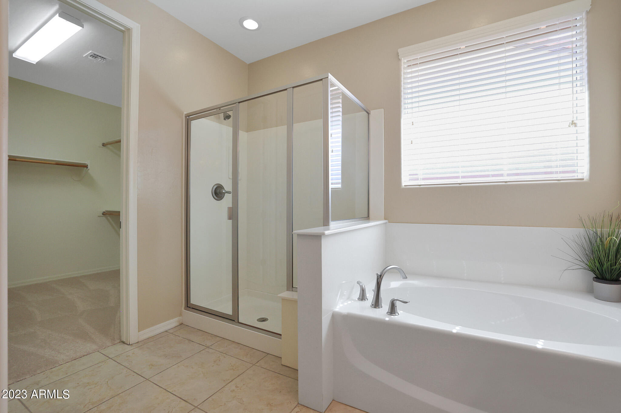 3294 North Springfield Street Buckeye, AZ 85396 - Photo 22 of 73 B (19)