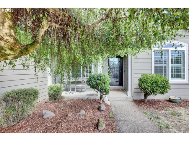 a view of a garden with plants and large trees