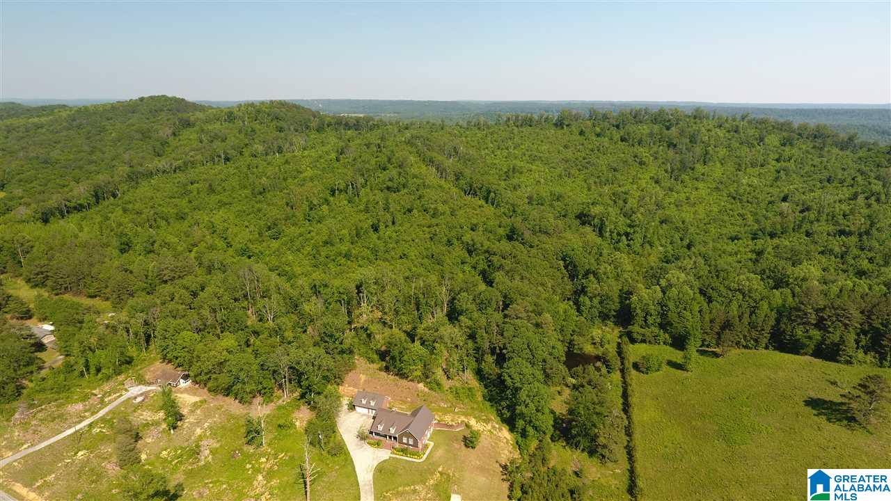 2762 Highway 42 Oneonta, AL 35121 - Photo 4 of 44