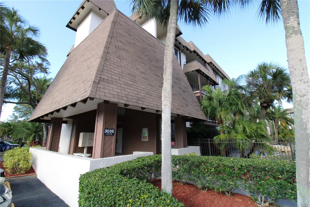 front view of a house with a palm tree