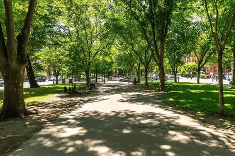 a view of park with tree s