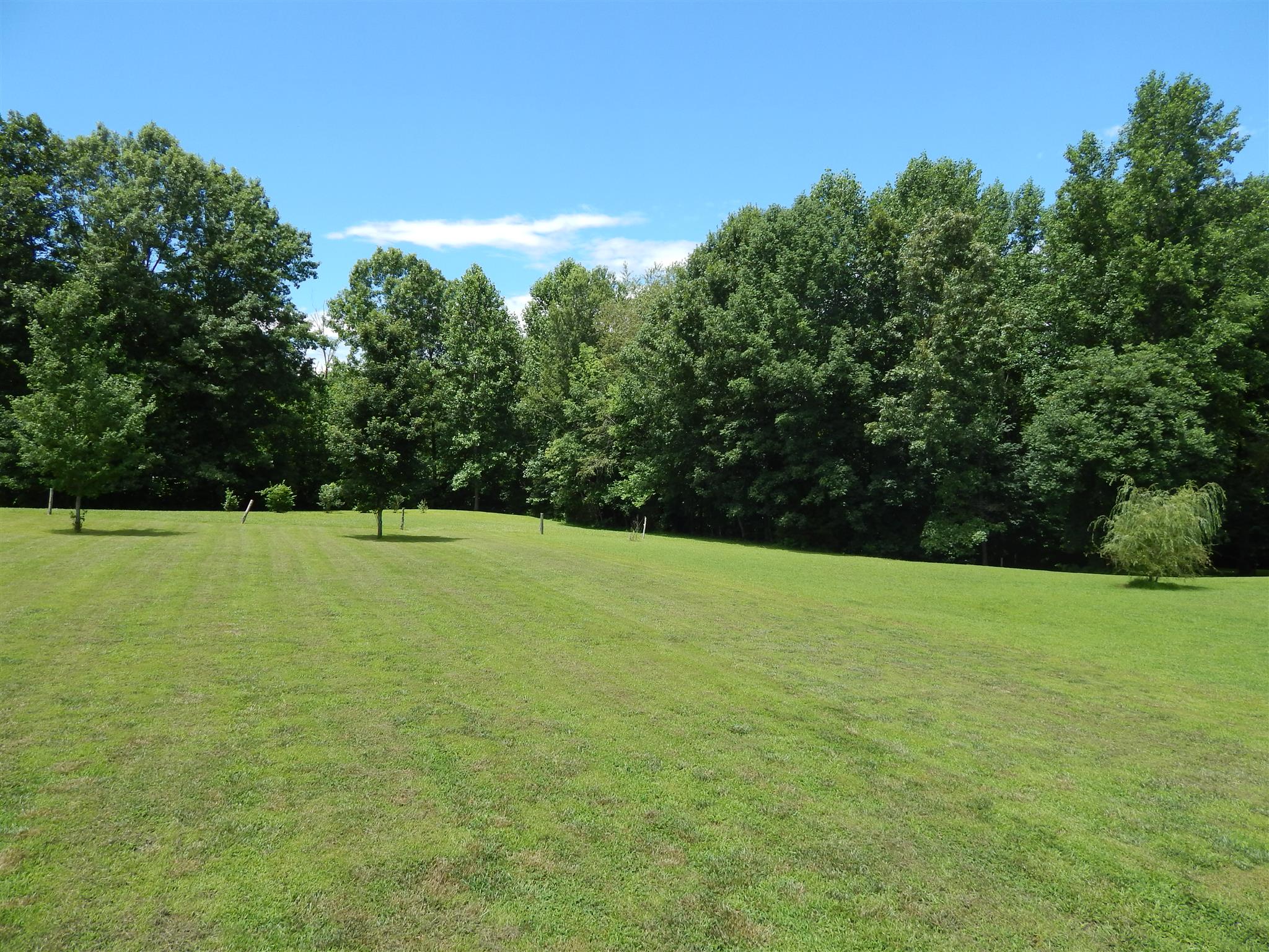 1533 Rapids Road Portland, TN 37148 - Photo 15 of 17 a view of a field of grass and trees
