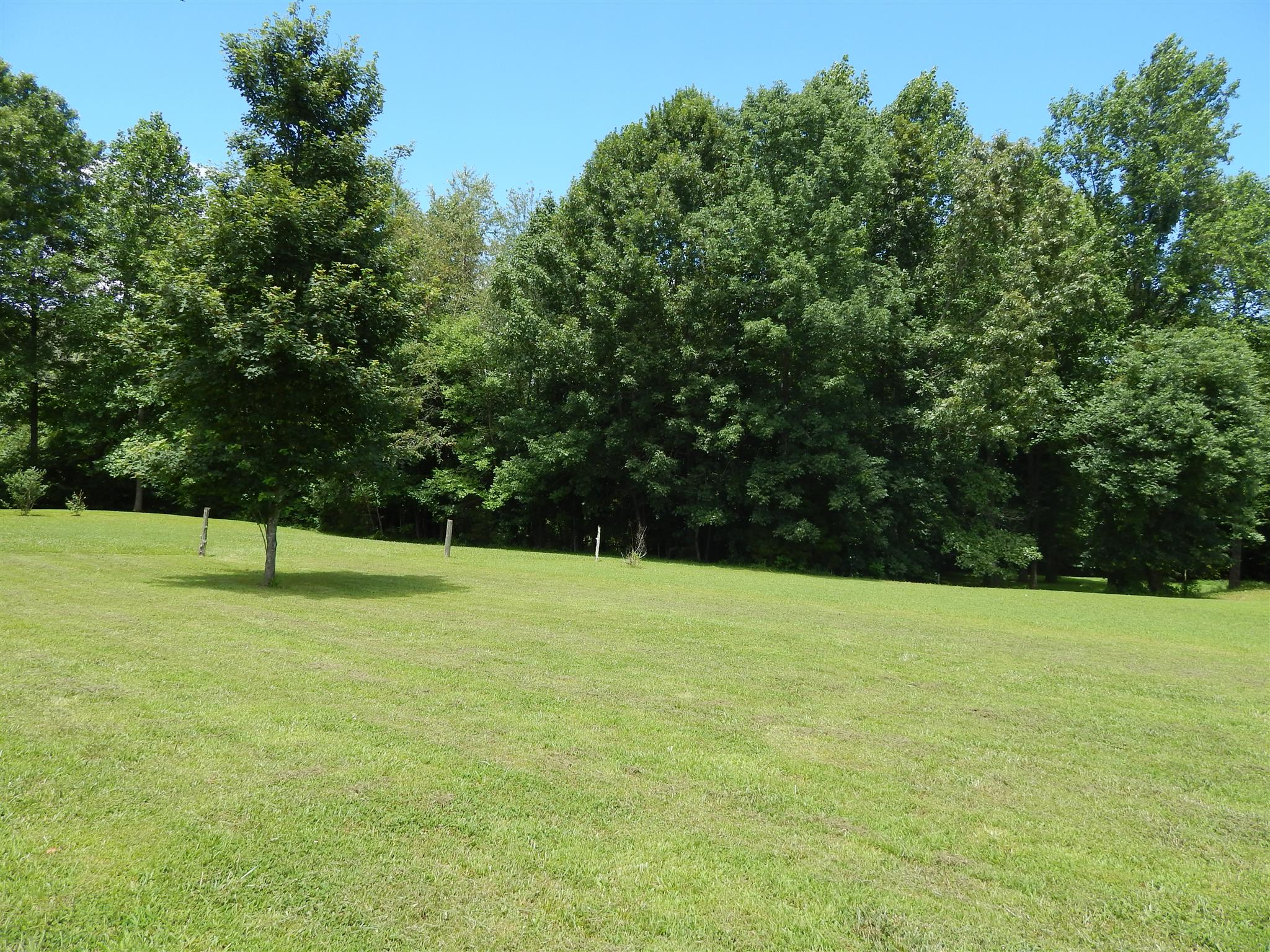 1533 Rapids Road Portland, TN 37148 - Photo 16 of 17 a view of an outdoor space and a yard