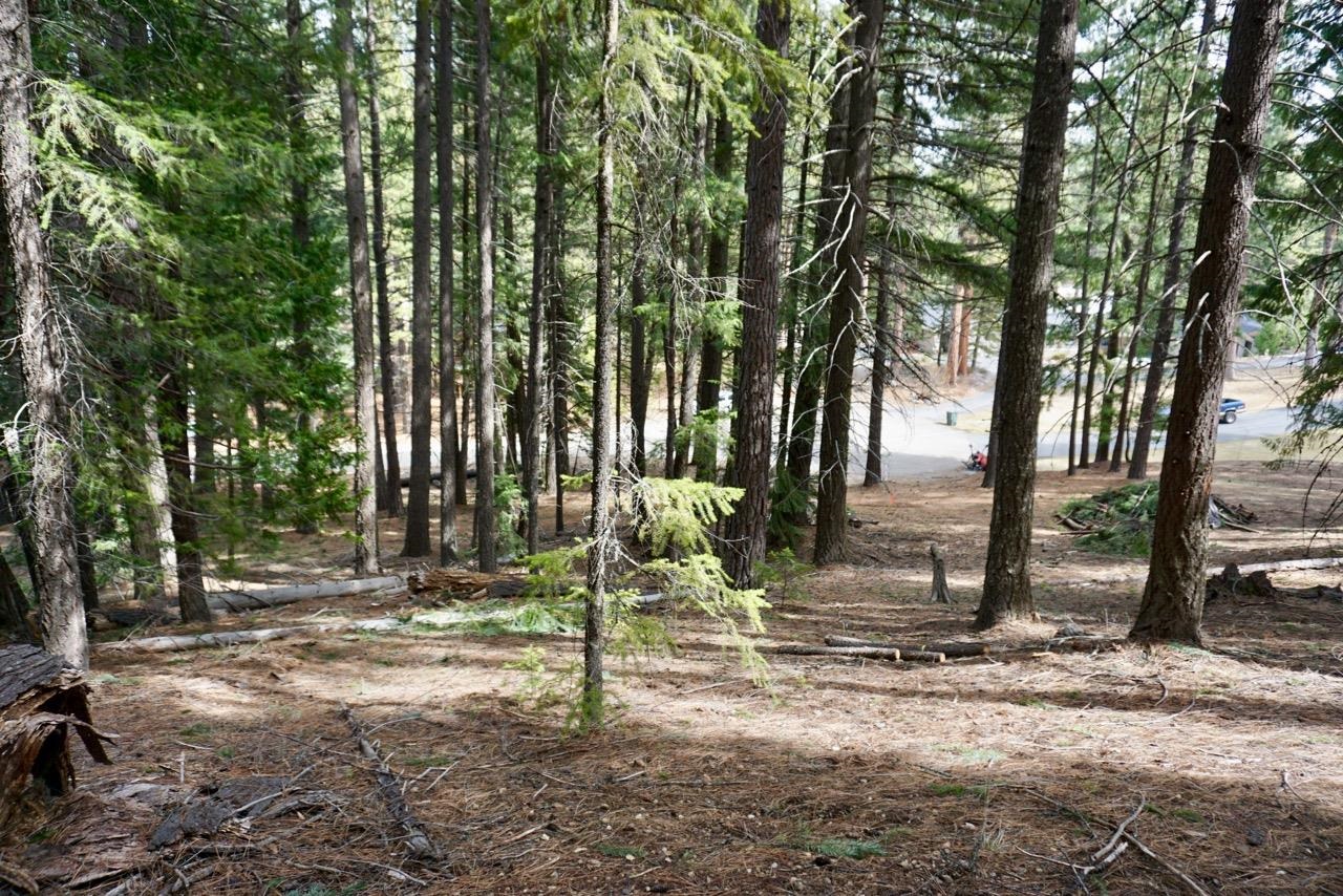 6 Pine Tree Court Blairsden, CA 96103 - Photo 11 of 22 a backyard of a house with lots of green space